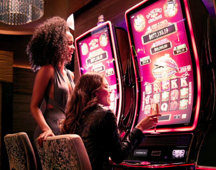 aviator betway Bingo